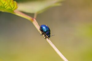 骨格ナチュラルのスタイルを持つ芸能人は誰ですか？