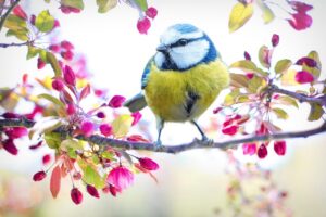 イエベ春にぴったりのコーデを天神で楽しむ方法は？